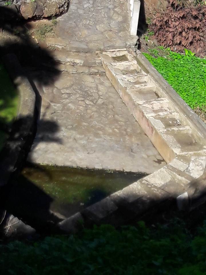 Actualizar 101+ imagen batea de lavar ropa Abzlocal.mx